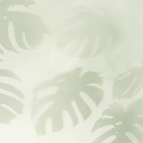 Sage Green Monstera Leaf Shadow Mural-tapeter