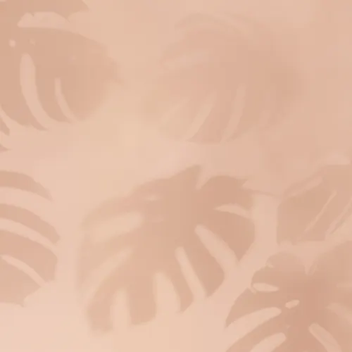 Rosa Monstera Blad Skygge tapet