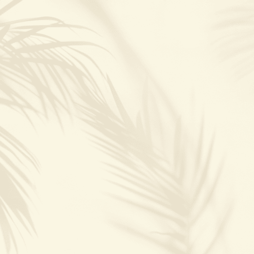 Carta da parati beige con ombre di foglie di palma