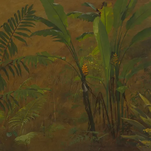 Wild Tropical Jungle Oil Painting Mural
