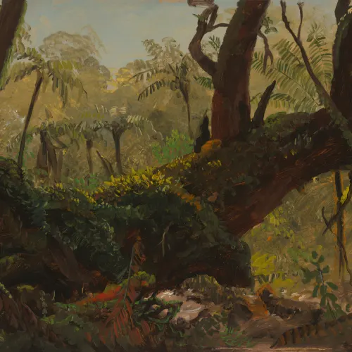 Papier peint panoramique peinture à l'huile représentant une jungle tropicale moussue