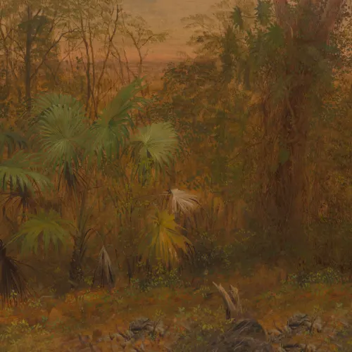 Tropical Jungle Oil Painting Mural