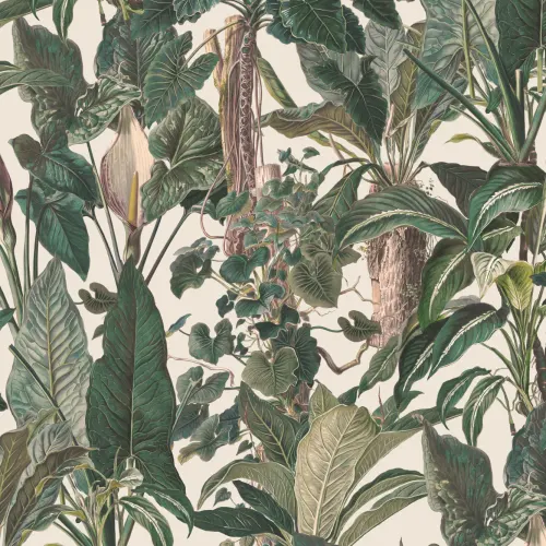 Classic Tropical Illustrated Leafy Plants Mural