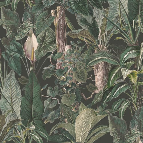 Papier peint panoramique vert tropical illustré Plantes à feuilles