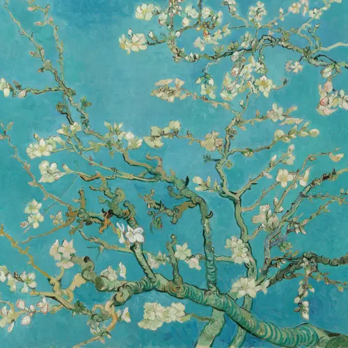 Carta da Parati con Rami di Mandorlo in Fiore di Van Gogh