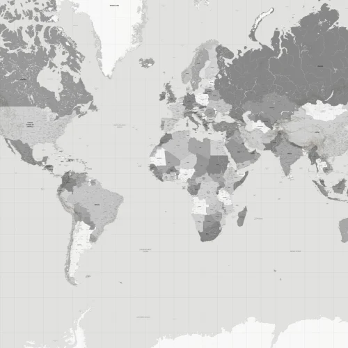 Grey Sophisticated World Map Educational Wall Mural