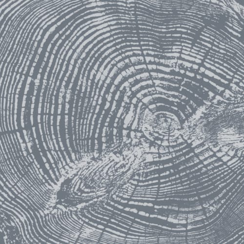 Mural Papel Pintado de Madera con Tocón de Árbol en Azul Gris