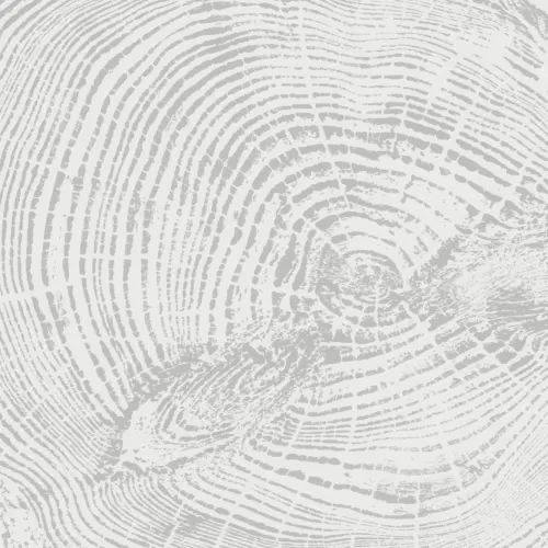 Light Grey Scandinavian Wood Print Wallpaper Mural