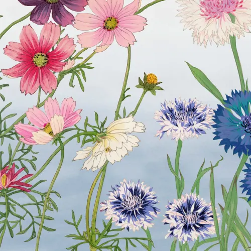 Cosmos Japanese Watercolor Floral Mural - Hovia