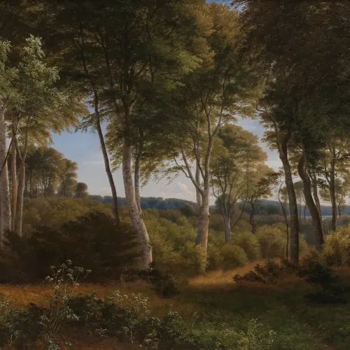 Classic Misty Forest Oil Painting Mural - Hovia