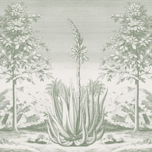 Botanische Fototapete Aloe Grn - Hovia - Hovia