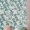 Maximalist